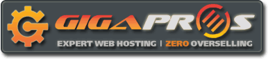 GigaPros GigaPros Expert Web Hosting