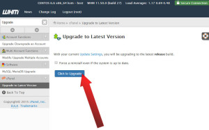 How-to-Upgrade-and-Patch-cPanel-WHM-03